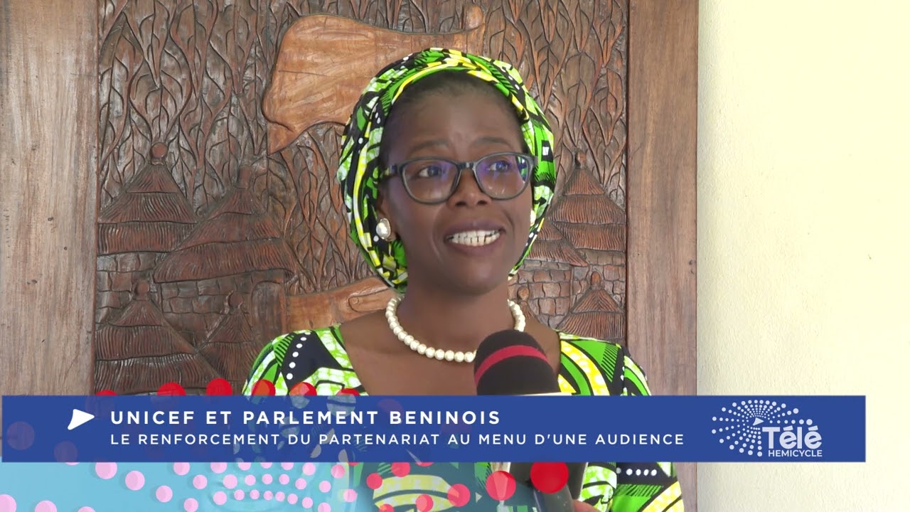 AUDIENCE DU PRESIDENT DE L'ASSEMBLEE NATIONALE