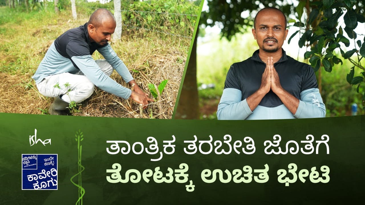 ತಾಂತ್ರಿಕ ಸಲಹೆ ಪಡೆದ ಸಾಫ್ಟ್ ವೇ‌ರ್ ಇಂಜಿನಿಯ‌ರ್ ಮರ ಆಧಾರಿತ ಕೃಷಿಕ ಆಗಿದ್ದು ಹೇಗೆ?