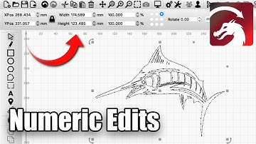 Precision Editing With Numeric Edits