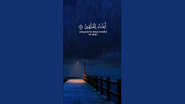 سورة آل عمران الآية 134 بصوت القارئ محمد الفقيه