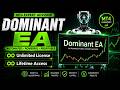DOMINANT EA FIX MT5 | Professional Automated Forex Trading Software