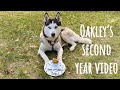 Oakley’s Second Year