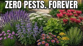 Plant These 9 Perennials Once and NEVER Deal with Garden Pests Again