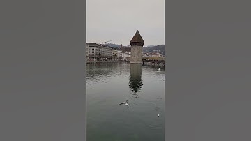 (هو الذي يسيركم في البر والبحر حتى إذا كنتم في الفلك) (القرآن الكريم بصوت القارئ عبدالرحمن مسعد)