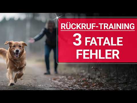 💥🐶 Hund Rückruf 👉 Diese 3 FATALEN Fehler zerstören jeden Rückruf 🐶💥✔️