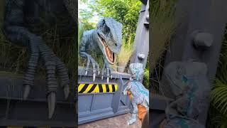 Raptor Blue Meeting Her Baby | Jurassic World at Universal Orlando Resimi