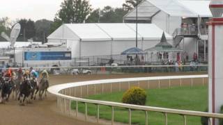 2012 Kentucky Oaks, as seen from the clocker's stand on the backside 5/4/2012 Churchill Downs