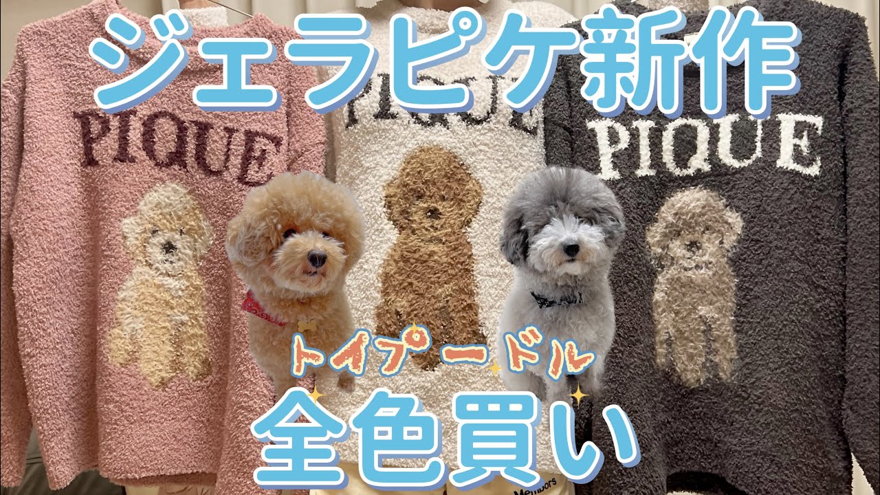 ジェラピケ新作全色買い】全トイプードル飼い主歓喜！！ - YouTube