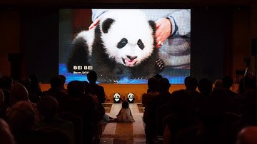 China, U.S. host reception to mark 50 years of panda