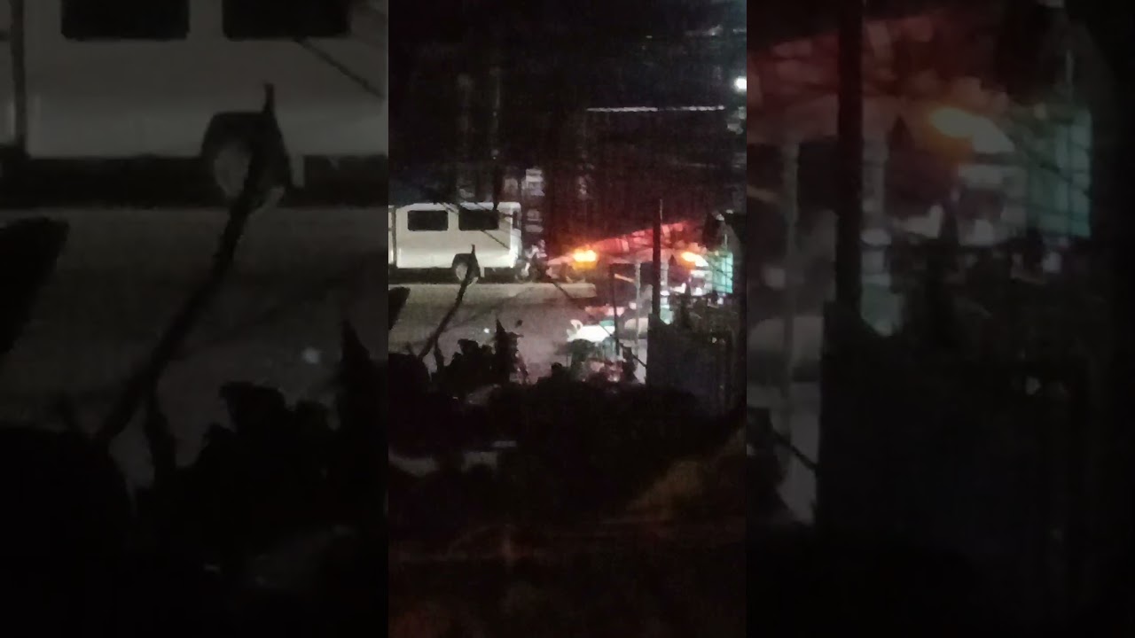 Triton Container Truck 