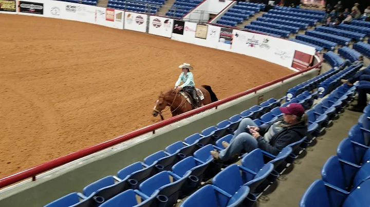 Erin Bledsoe and Feather Oak NRCHA NonPro Limited ...