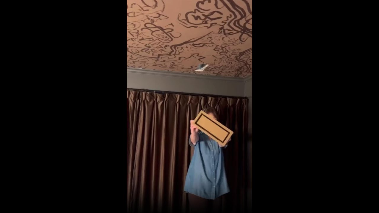 A ceiling vent that blends in!