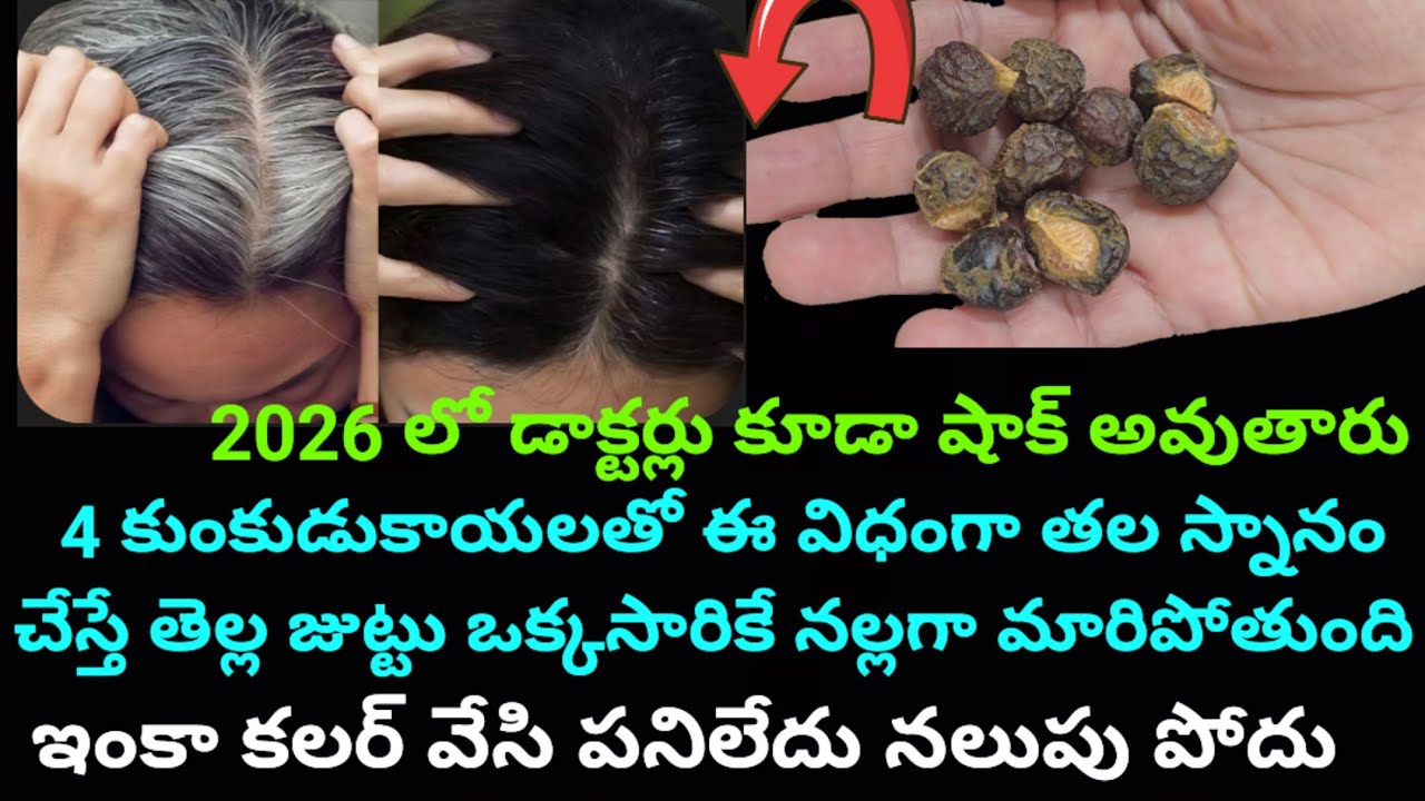 4 కుంకుడుకాయలతో ఈ విధంగా తల స్నానం చేస్తే తెల్ల జుట్టు ఒక్కసారికే నల్లగా మారిపోతుంది ఇంకా కలర్ వేసి