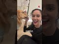 We tried a Pilates class with puppies