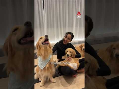 We tried a Pilates class with puppies