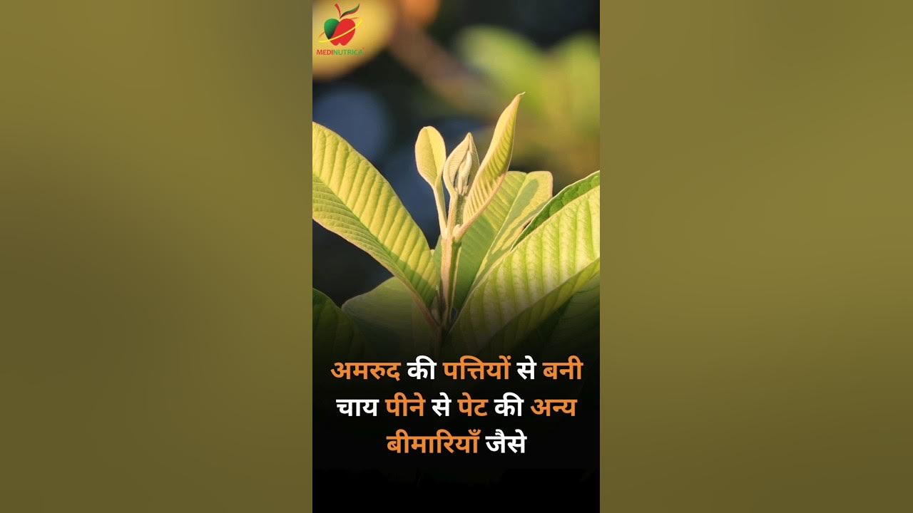 ayurvedic-home-remedies-for-digestion-problems-heart-digestion