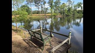 Three Farmstead Tracts to choose from Near Thomasville, GA. 15 Acres to 29 Acres. $325,000 each.