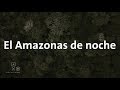 Caminar por el Amazonas de noche! Alan por el mundo Perú #14