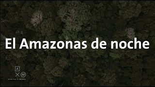 Caminar por el Amazonas de noche! Alan por el mundo Perú #14