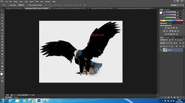 Photoshop Manipulation (cracking-egg)