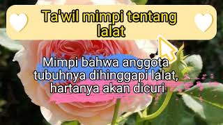 Arti mimpi lalat, kodok, penyu dan kura-kura