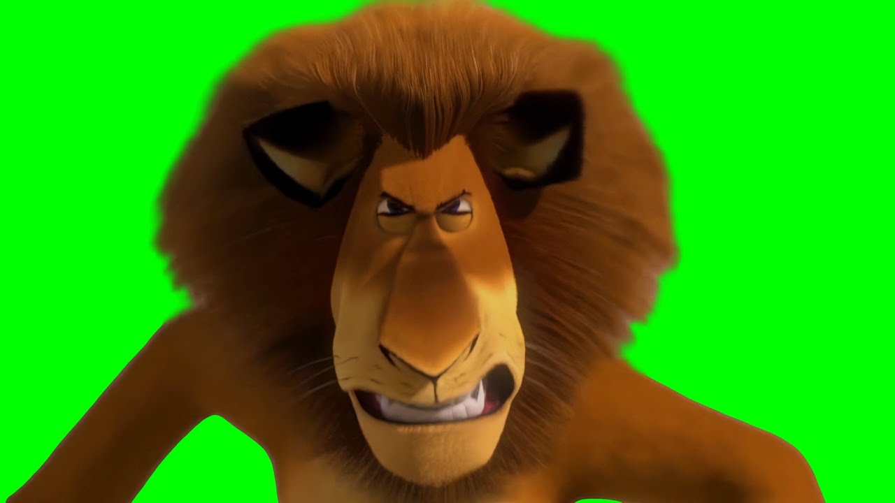 Alex and Marty Running to Each Other meme - Madagascar - Green Screen ...