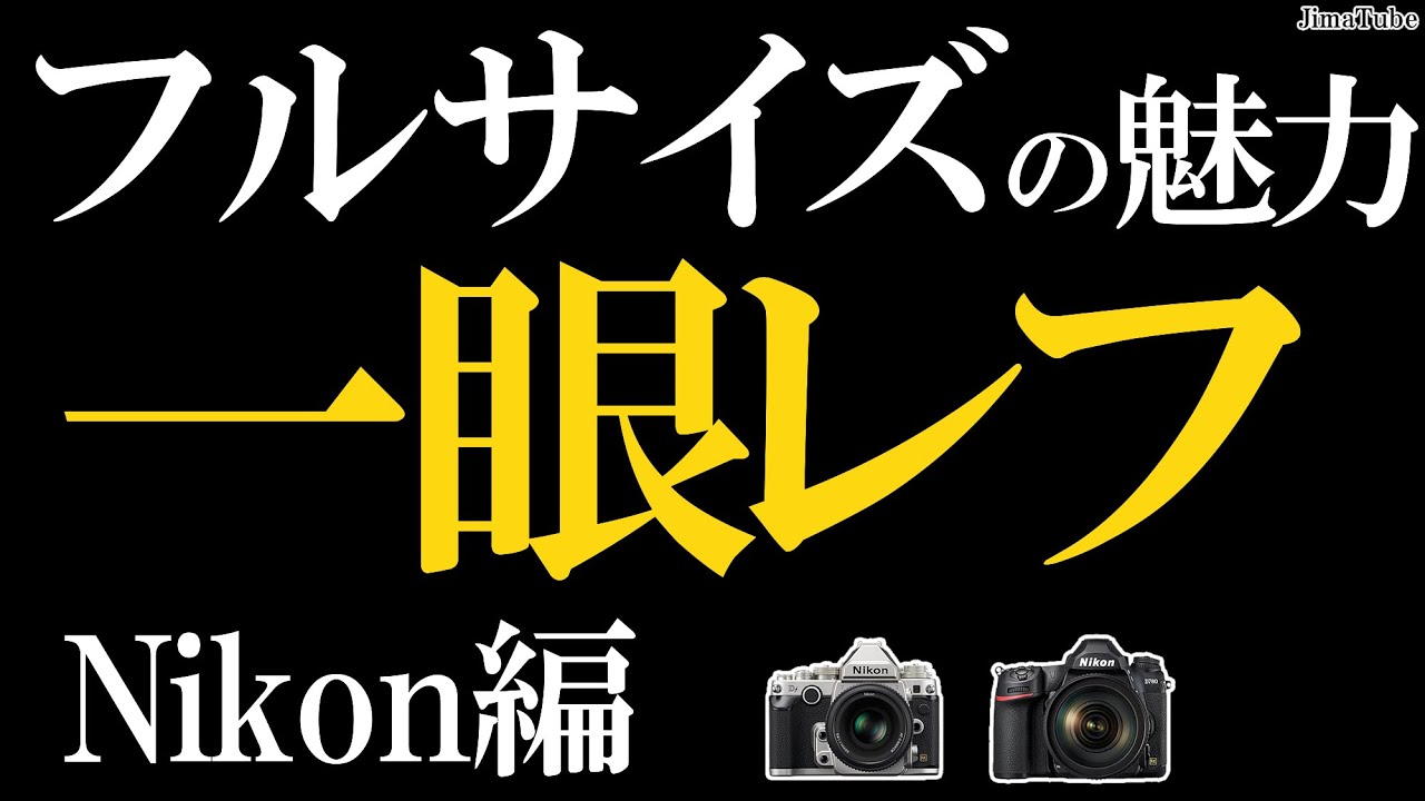 Nikon D80☆スマホに転送OK☆色鮮やか一味違う一眼レフ☆3323-