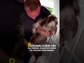 Owner Dumped this little puppy after tor*#ure #rescueefforts #dogrescue #storyorry