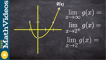 How to evaluate the left right and general limit from a graph with holes
