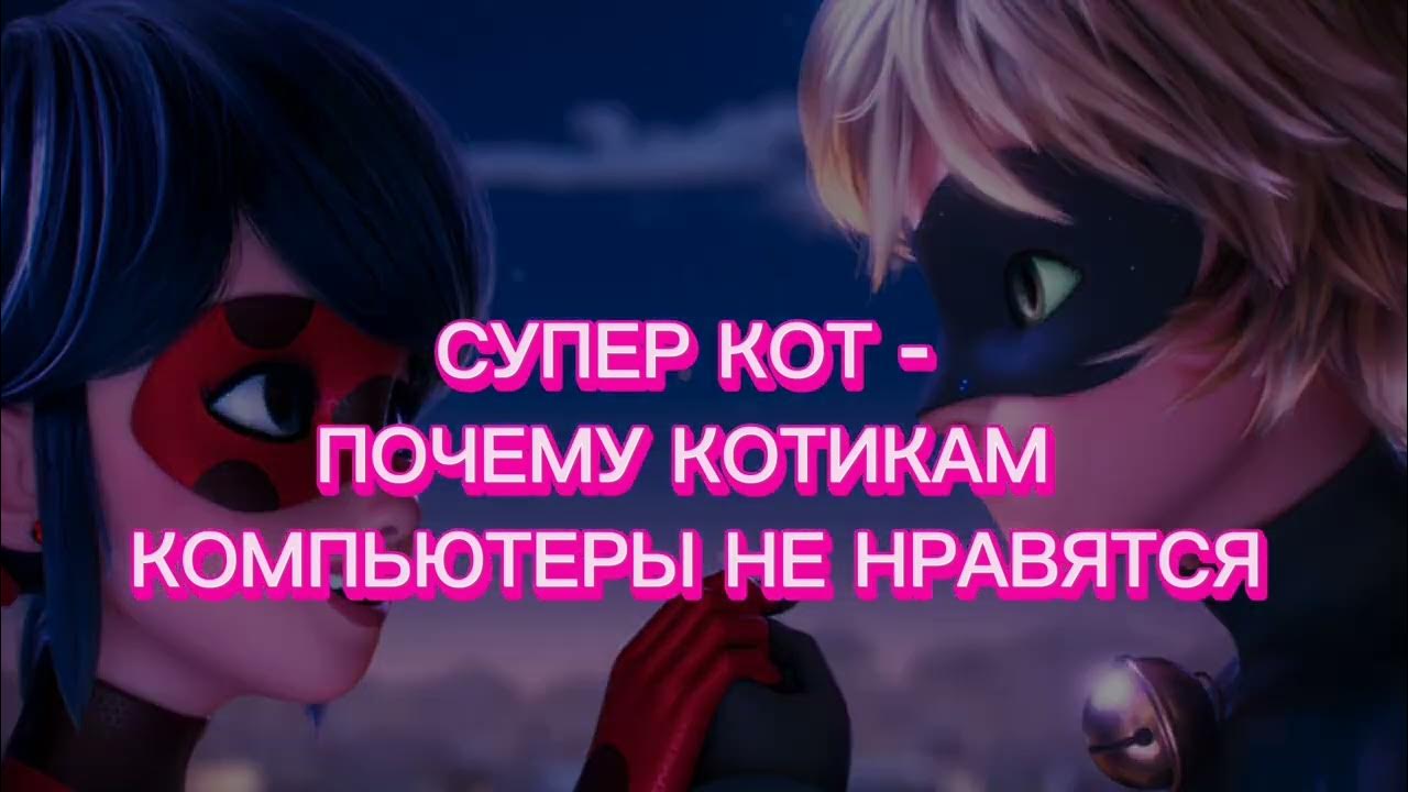 почему котикам компьютеры не нравятся 1 час