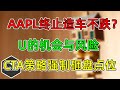 美股 开始无聊了！AAPL终止16年梦想！U的机会与风险！CTA策略强制卖出点位！