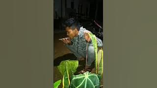 korban tik tok terbaru, info rondo ayu ayu wkwk