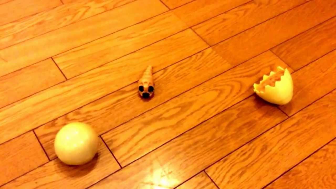 エッ グッ タカラ 19 怪獣の卵 モスラバージョン Youtube エッ グッ タカラ 19 怪獣の卵 モスラバージョン Youtube