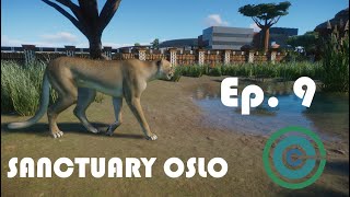 Building a Campus for all the Lanky Dog Cats | Episode 9