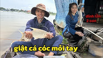Giật cá cóc mỏi tay với cám Thứ Gì Chịu Nổi