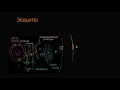 Экзоцитоз (видео 13)  | Мембранный транспорт  | Биология