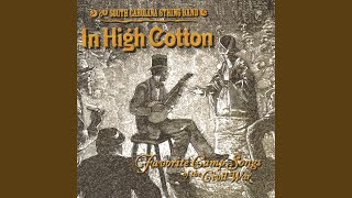 Video thumbnail of "2nd South Carolina String Band - De Blue Tail Fly"