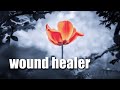 Wound healer morphic field