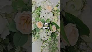 #박우철 #연모 #7080 #kpop #트로트 #가요 #노래