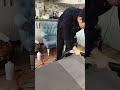 Koltuk yıkama parlax yatak sandalye çekyat ve mescit hali yıkama İstanbul'da