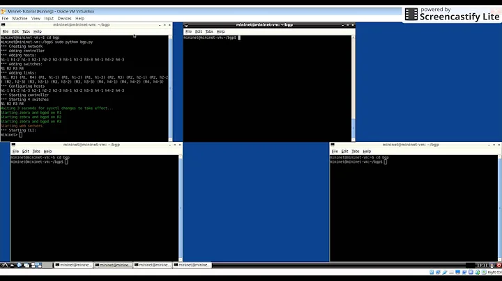 BGP path hijacking demo