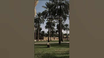 تلاوة عطرة للشيخ سعود الشريم #اكسبلور #ترند قران_كريم #لايك #سعود_الشريم