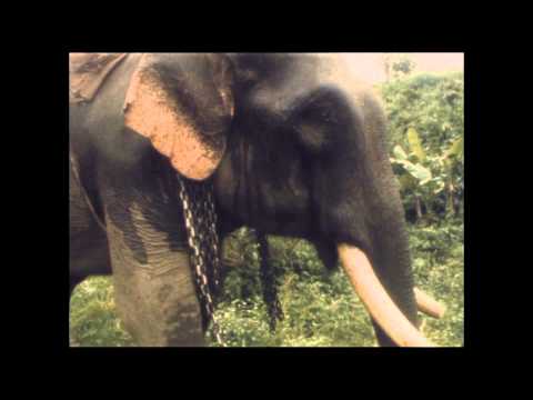 1973, Lao. Towards better days - 1973, Lao. Towards better days
