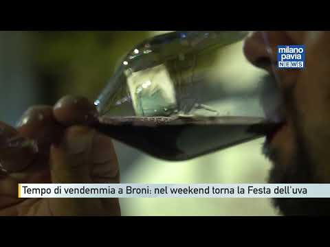 Video Tempo di vendemmia a Broni: nel weekend torna la tradizionale Festa dell'uva