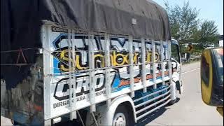 Story wa 30detik versi truk ||status wa keren kekinian terbaru 2021