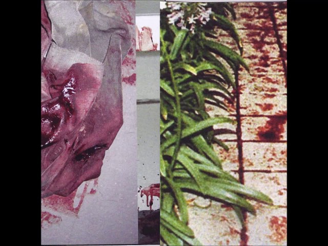 BLACKHANDPATH - Introduction bekijken op YouTube BLACKHANDPATH - Introduction bekijken op YouTube