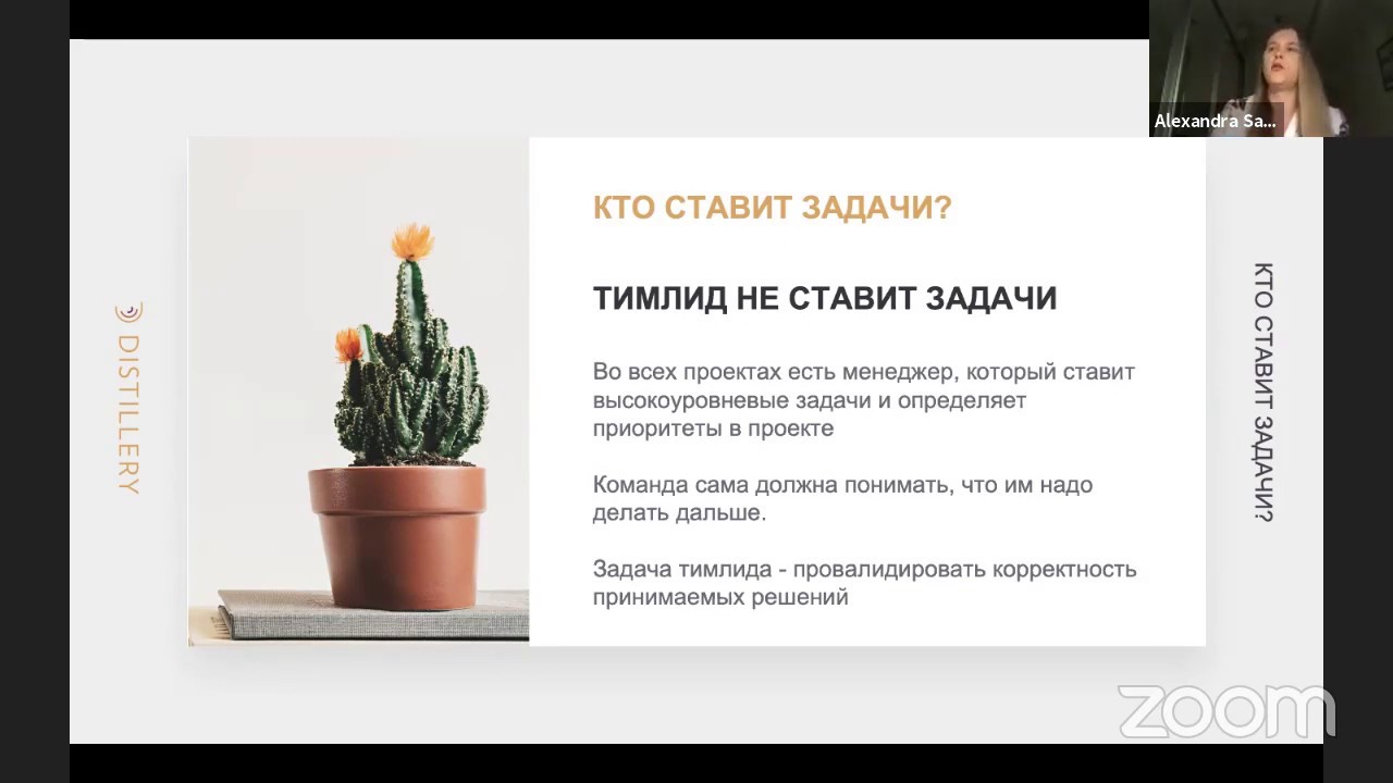 Тимлид и руководитель проекта отличие
