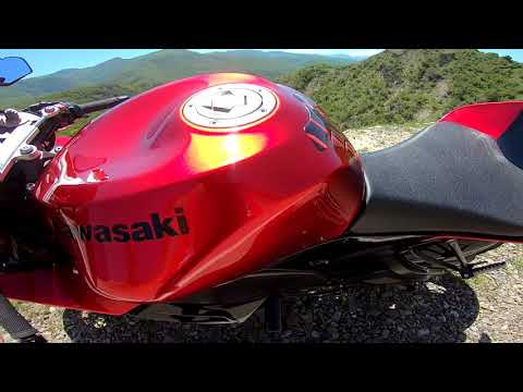 Dito kisishvili \u0026 kawasaki ZX-10r...