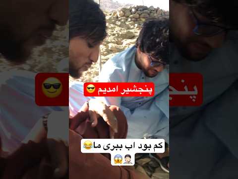 کم بود اب ببری ما پنجشیر امدیم    خندارترین طنز   خنده