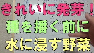 プロ有機農家が教える種を播く前に水につける野菜210321